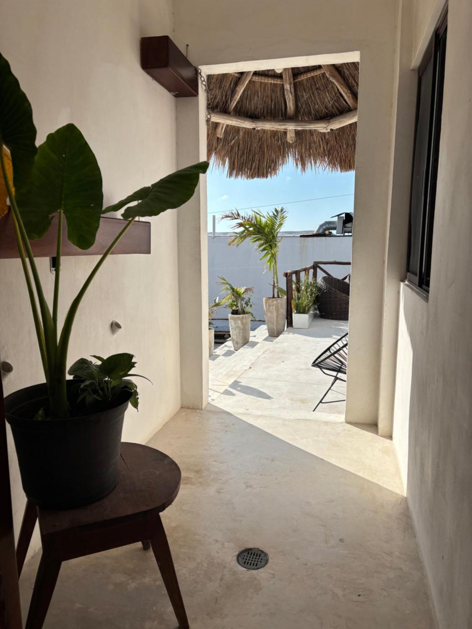 Hotel Mittoz Holbox מראה חיצוני תמונה